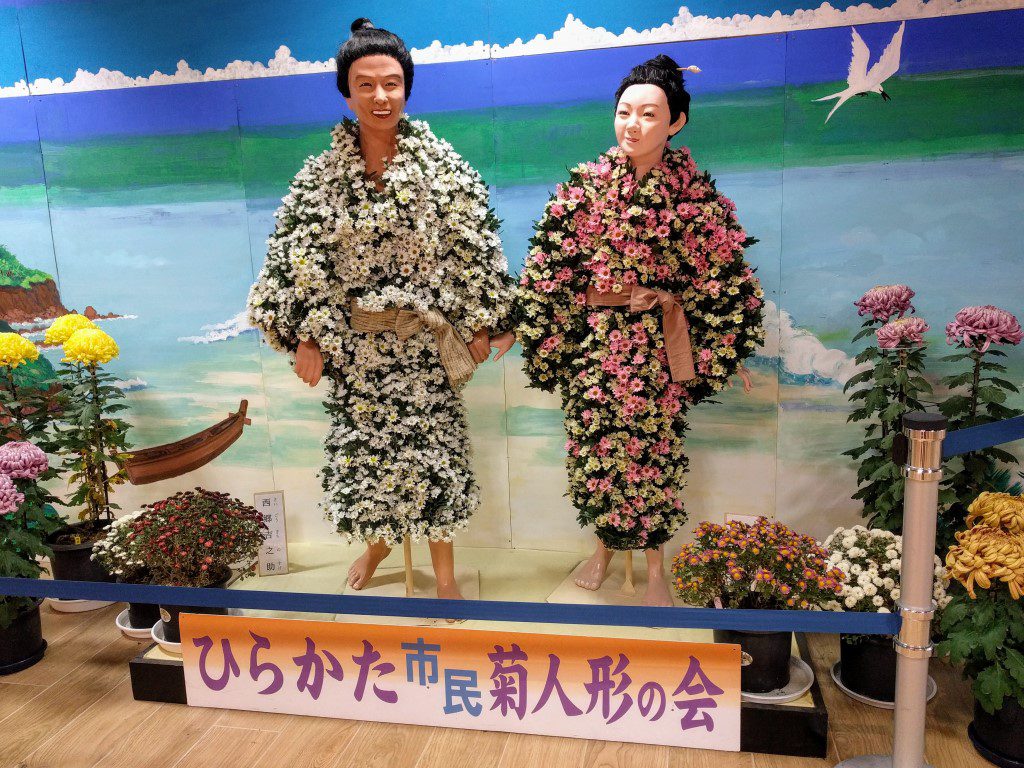 菊人形  KIKU-Dolls "Chrysanthemum called KIKU in Japan"